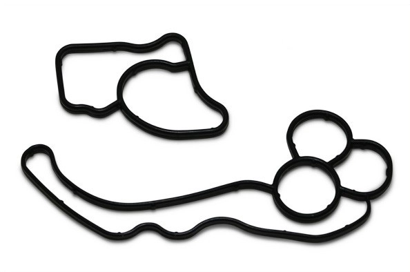 ELWIS ROYAL Dichtung, Ölfiltergehäuse  für BMW 11428580682 7015404