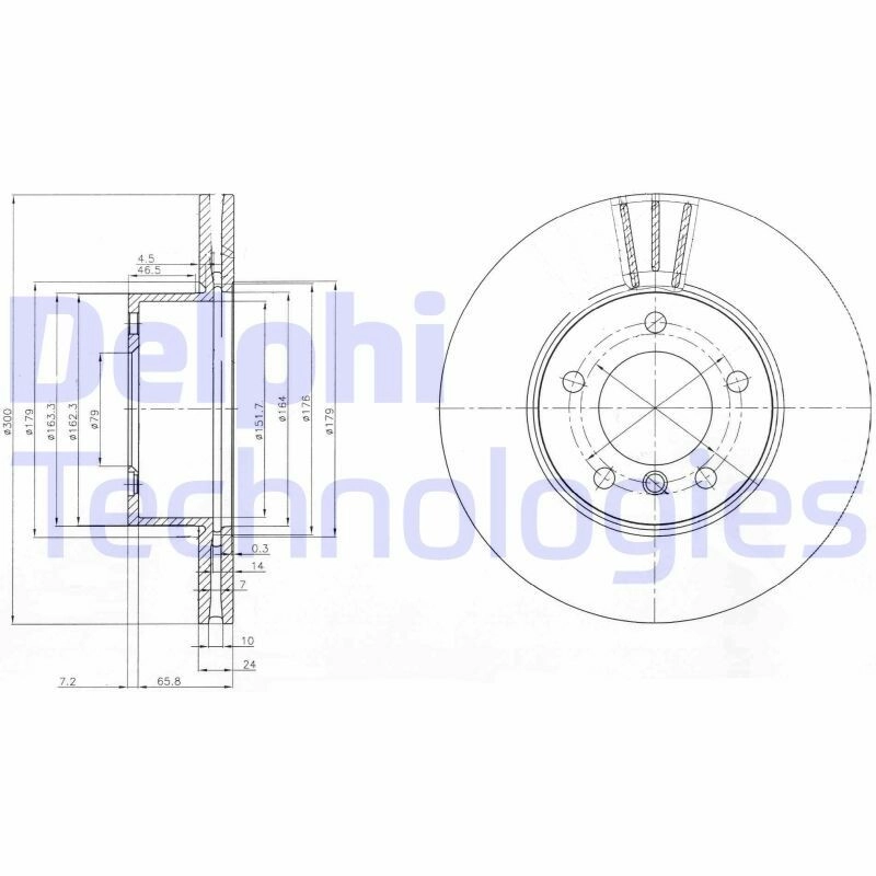 DELPHI Bremsscheibe vorne rechts links belüftet 300mm für BMW (BRILLIANCE) 34116854998 34116772669 BG3998C