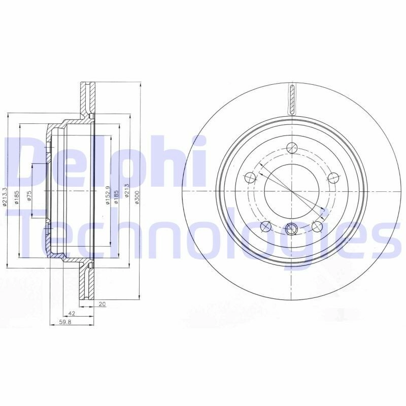 DELPHI Bremsscheibe hinten rechts links belüftet 300mm für BMW (BRILLIANCE) 34216855008 34216864901 34216764653 BG4243C