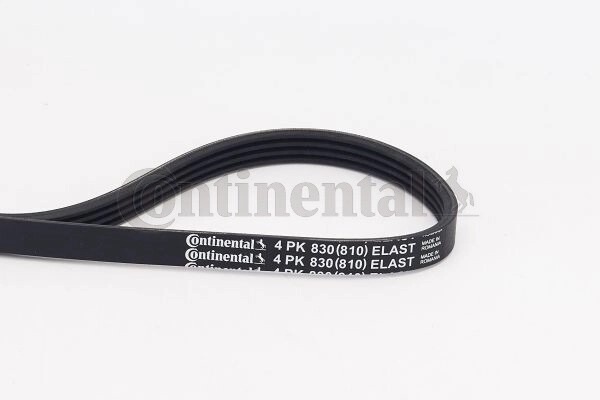 CONTINENTAL CTAM Keilrippenriemen  für BMW 32427791786 7791786 11287791786 4PK830 ELAST