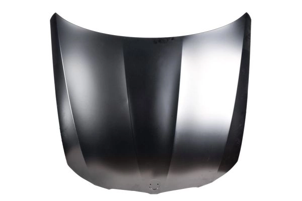 BLIC Motorhaube 6803-00-0062281P  für BMW 41617153940