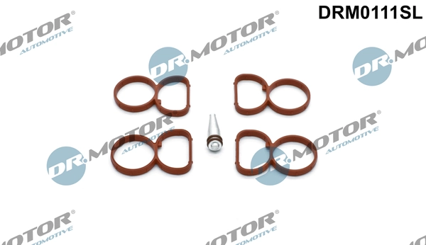 Dr.Motor Automotive Dichtungssatz, Ansaugkrümmer DRM0111SL mit Anbaumaterial für BMW 11617801438