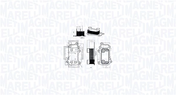 MAGNETI MARELLI Ölkühler, Motoröl 350300003900  für BMW 11427802113