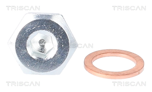 TRISCAN Verschlussschraube, Ölwanne 9500 1105  für BMW 11131704397 11137553918 11137568309