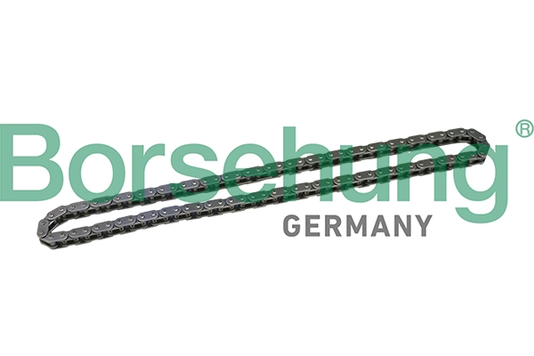 Borsehung Steuerkette B1C021  für BMW 11317797897 11318570649 11318506650