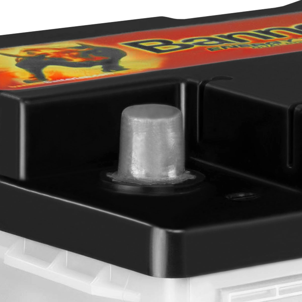 Banner Energy Bull Batterie 12V 100Ah 95751