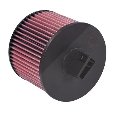 K&N FILTERS Luftfilter (E-2022) für BMW 3 1 X1